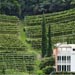 Больцано, Боцен, Bolzano, Bozen, южный Тироль, Sudtirol, виноградник